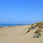 Playa Real de Zaragoza Marbella