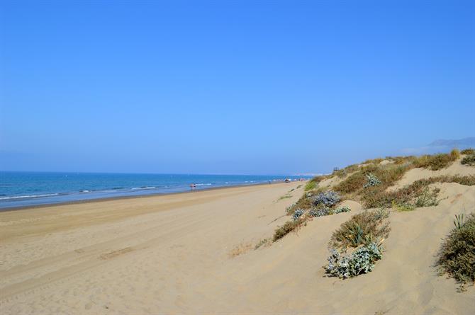 Stranden Playa Real de Zaragoza 