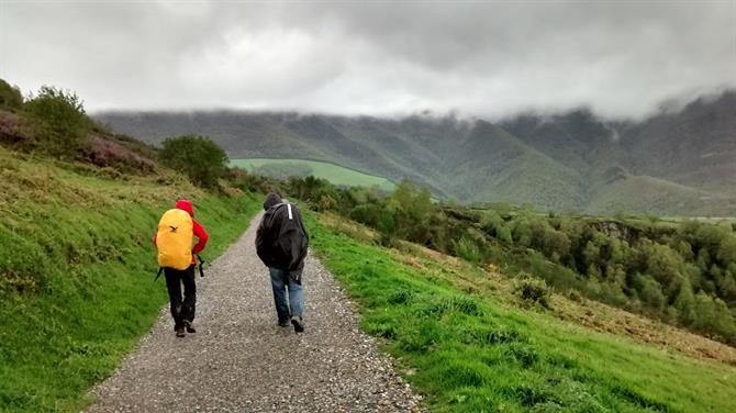 Hikers walk the Camino de Santiago