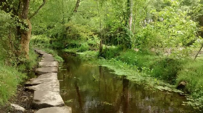 Camino de Santiago trail