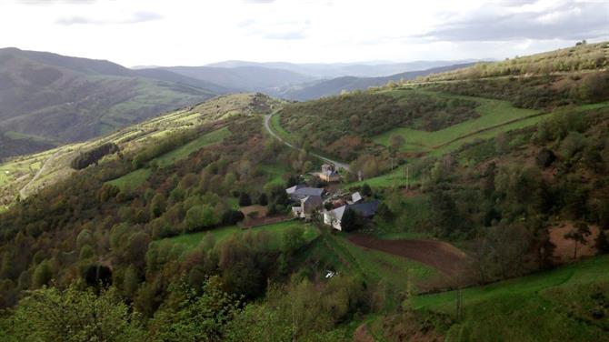 Campagne le long du Chemin de Compostelle (Espagne)