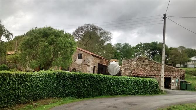 Camino de Santiago kammusselskal