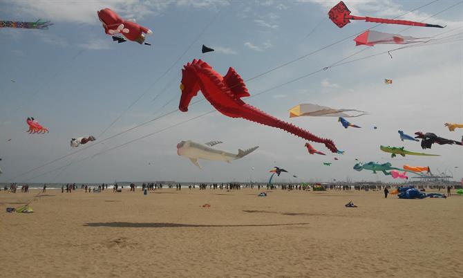 International kite festival