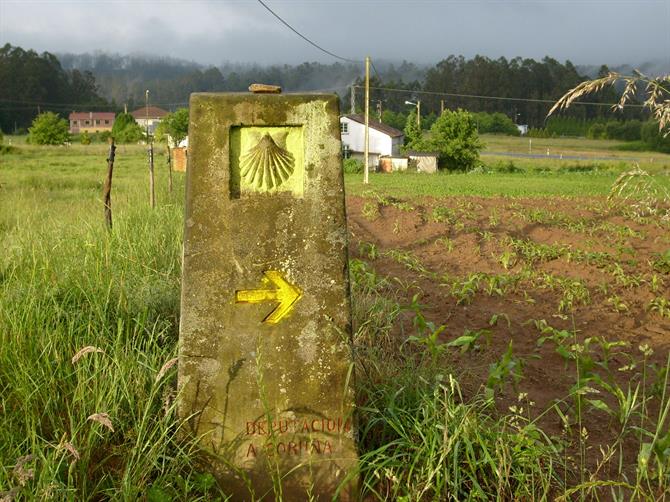 A seta amarela indicadora do Camino