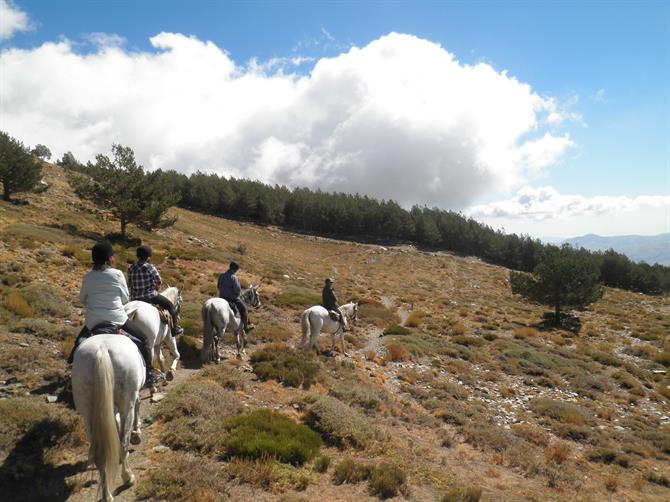 Rideferie i Alpujarras, Granada