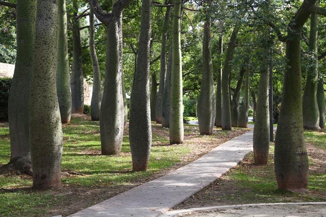 Valencia - Turia Gardens