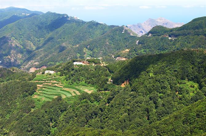 Anaga Biosfärreservat, Teneriffa