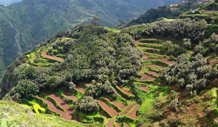 Amazing Anaga, the new UNESCO Biosphere Reserve on Tenerife