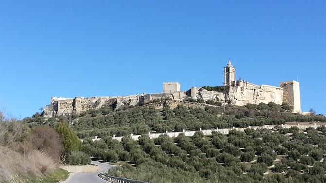 Castillo de la Mota, Alcala la Real