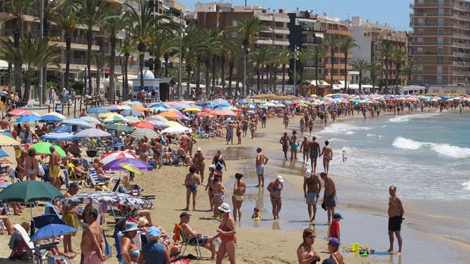 Torreviejas strand