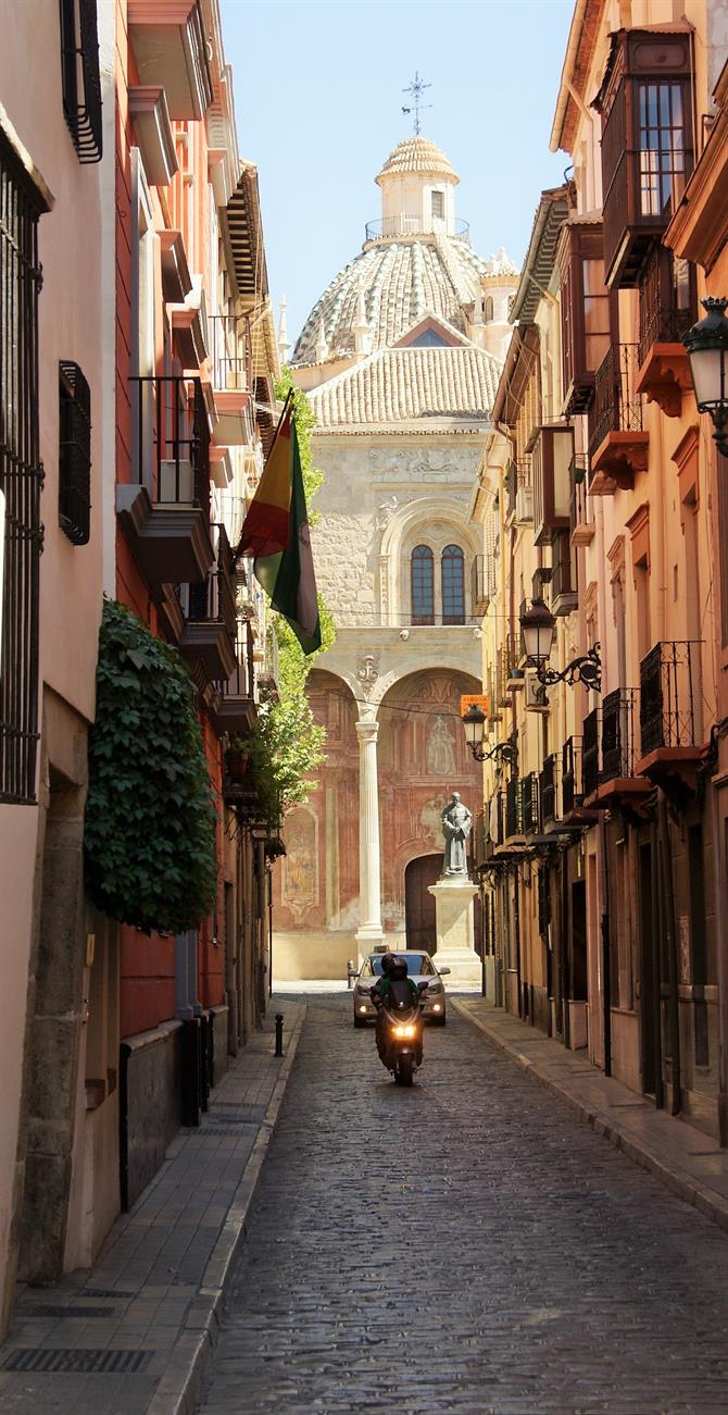 Grenade, Andalousie (Espagne)