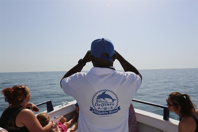 Barco de delfines en Fuengirola