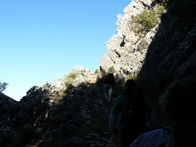 Climbing La Maroma, Axarquia