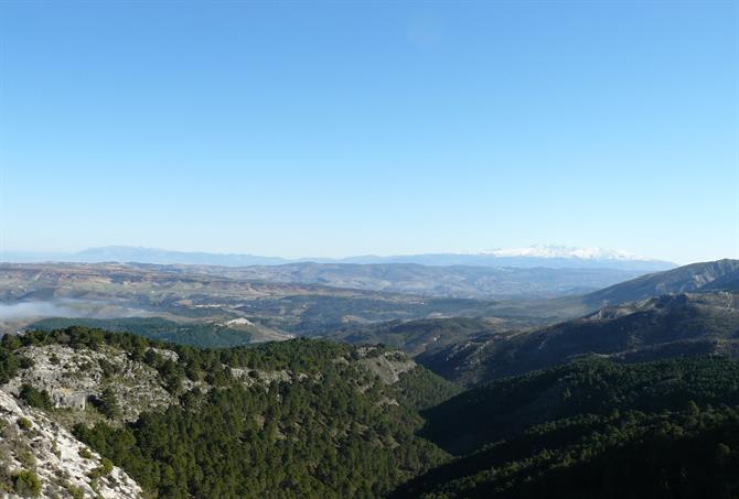 Vista desde La Maroma