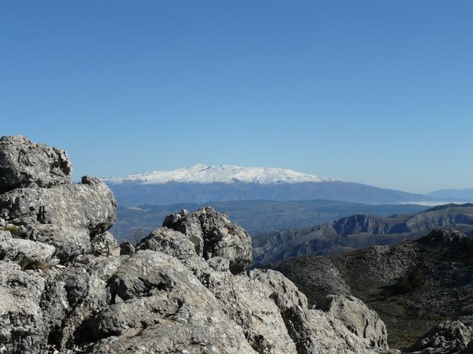 View of Sierra Nevada from La Maroma