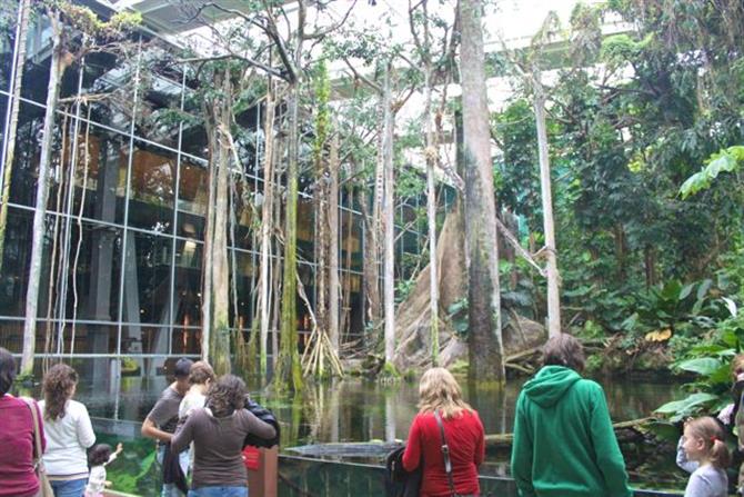 CosmoCaixa Barcelona