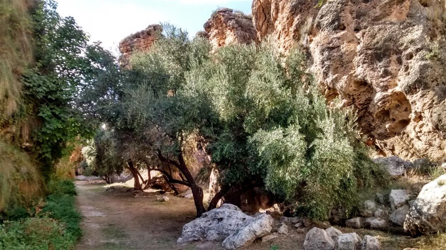Gorafe Dolmen, Hünengräber, Höhlen und heiße Quellen