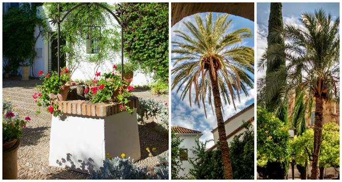 Palmen, Brunnen, Blumen in den Patios von Cordoba, Andalusien.
