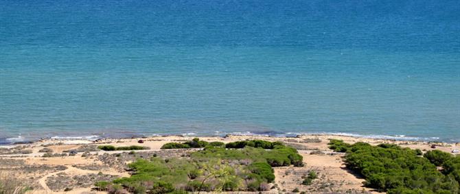 L'Escolgador de Crist nature reserve, Gran Alacant