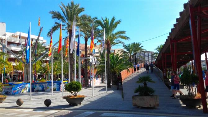 Hafen in Alcudia