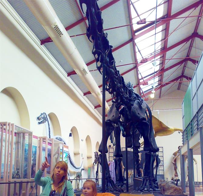 Museum de Ciencias Naturales