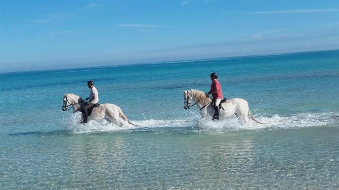 Ausritt am Strand