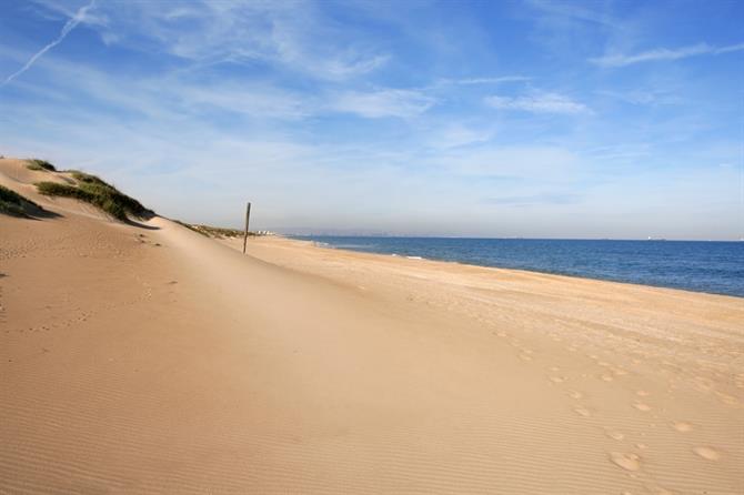 Valencia beach