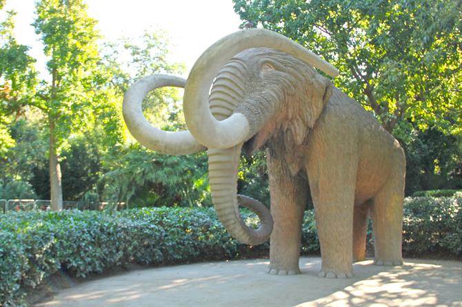 Ciutadella mammoth