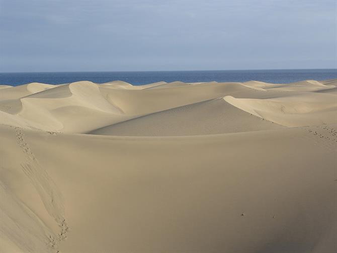 Dunas en la Playa de Maspalomas, Gran Canaria