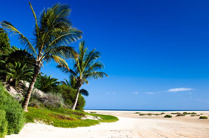 Plaża na  Fuerteventura 