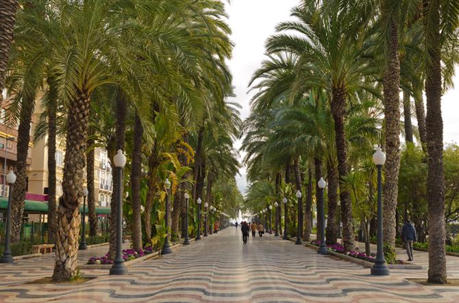 Alicante promenade