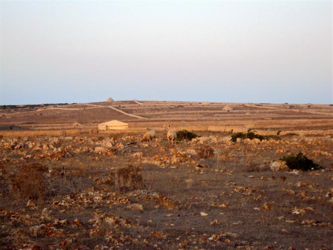 Landscape of Punta Nati