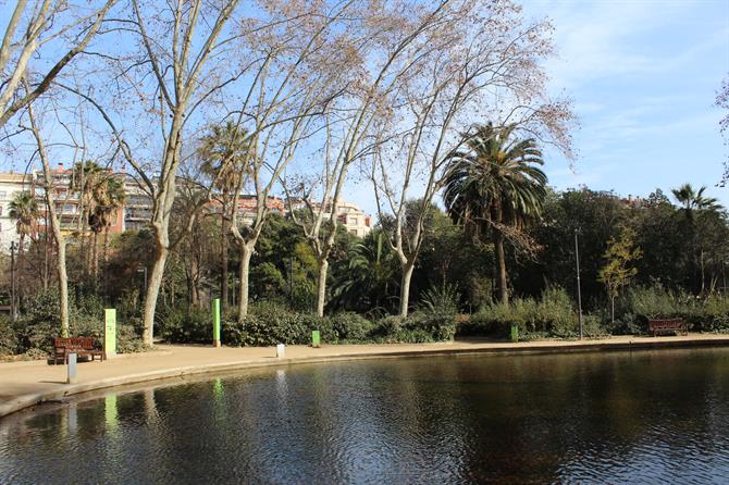 Little Lake in Parque del Turó