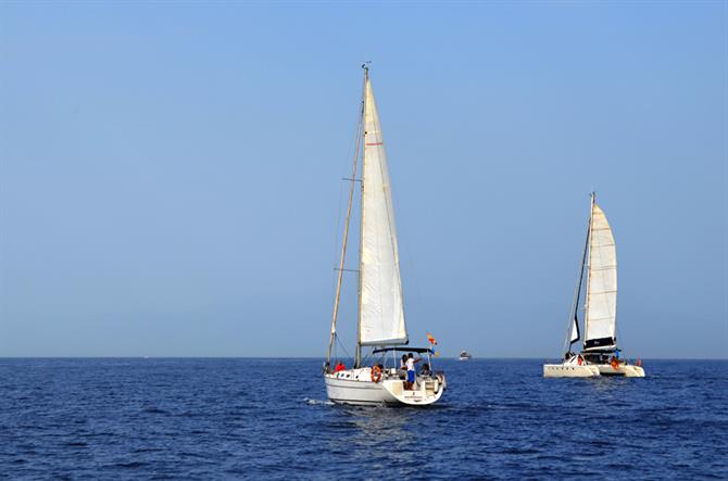 Barche per la vista di balene e delfini, Puerto Colon, Tenerife