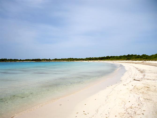 The virgin beaches of Menorca - Son Saura