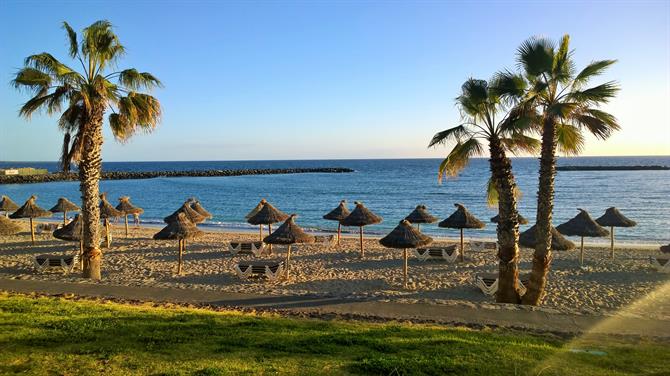 Stranden Playa del Camisón med sina vajande palmer