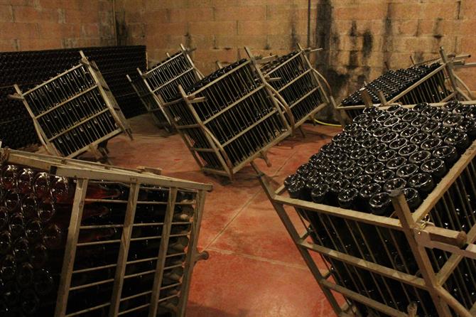 Cave de cava dans le Penedès, Catalogne (Espagne)