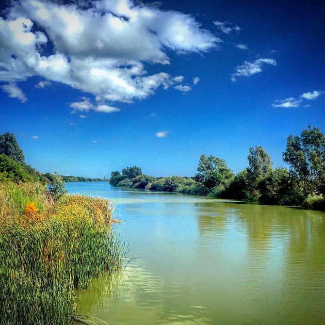 Der Guadalhorce Naturpark in Malaga