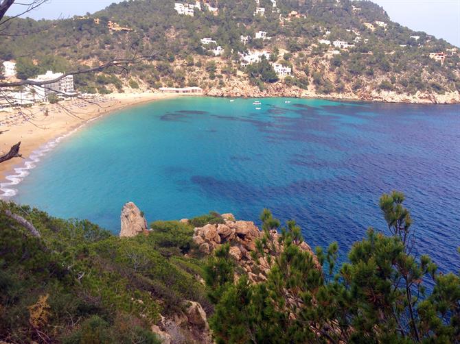 Playa de Sant Vicent, Ibiza