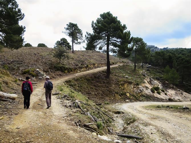Ruta Pico de Lopera