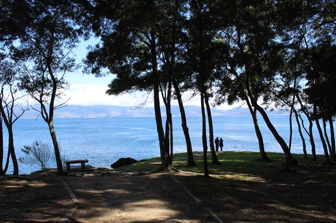 Forest between Sanxenxo and Portonovo