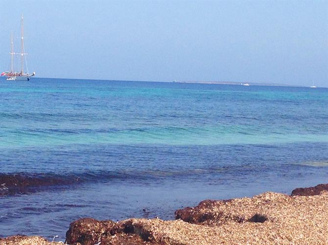 Playa Ses Salines, Ibiza