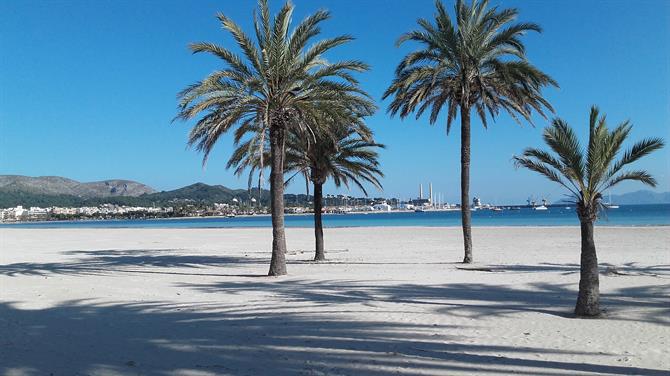 Platja Port d'Alcudia auf Mallorca