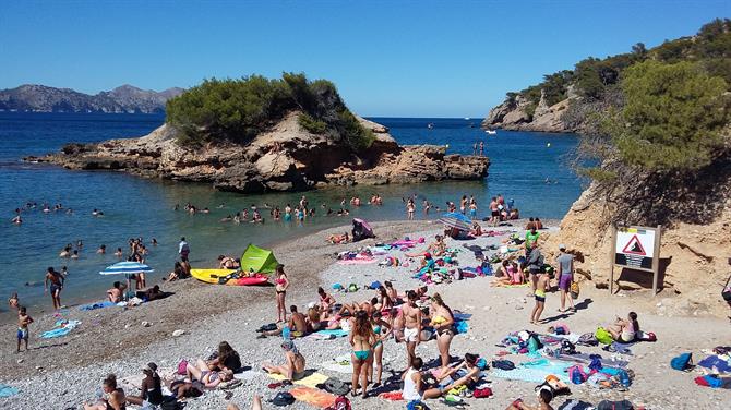 S'Illot beach, Alcudia