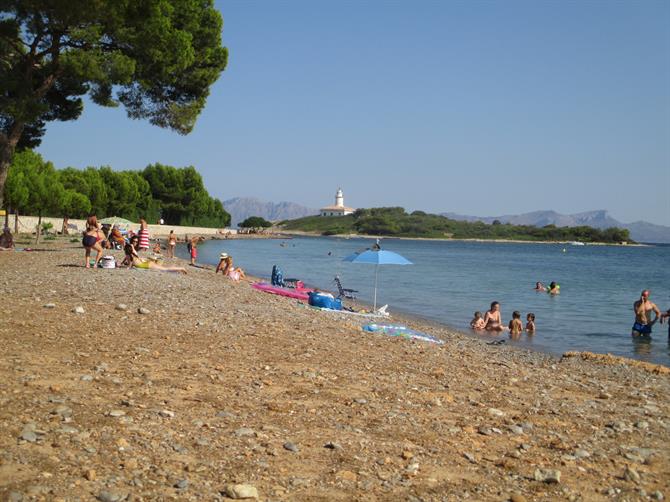 Spiaggia di Aucanada (Alcudia)