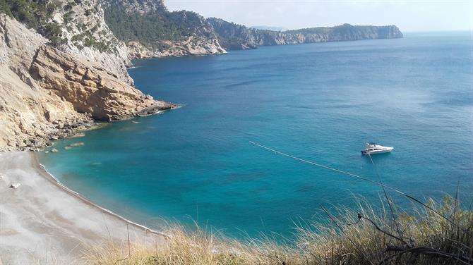 Spiaggia di Coll Baix, Alcudia