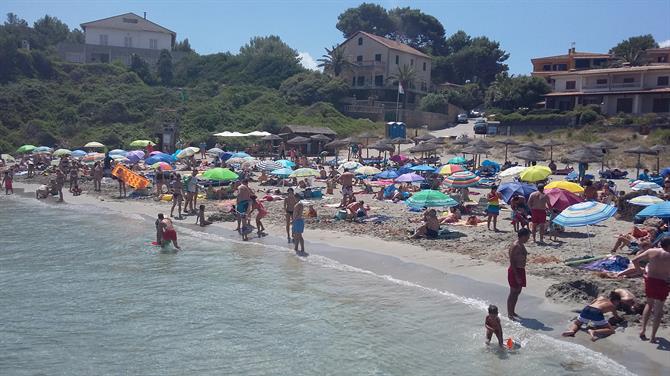 Praia Sant Pere, Alcudia 