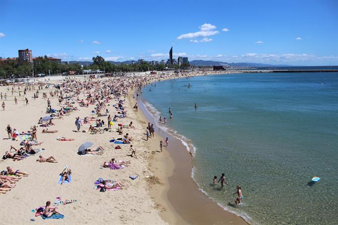 Plaża w Barcelonie