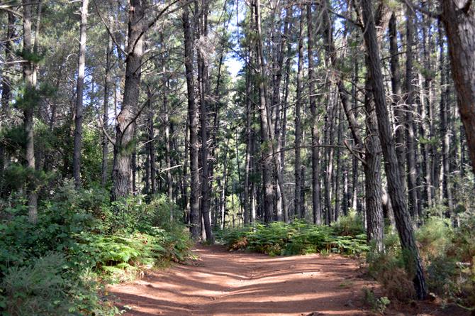 Route to La Concha from El Refugio de Juanar