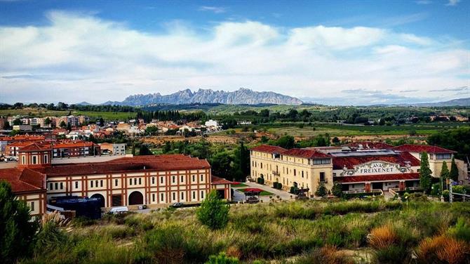 Cavas Freixnet, Catalonia